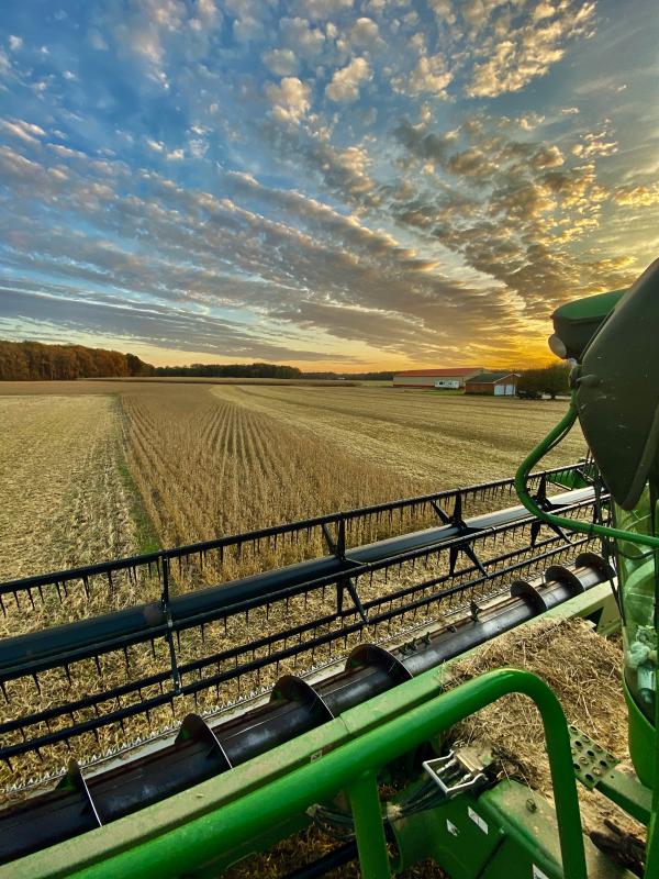 Delaware Farm Bureau Photo Contest winners announced Cape Gazette